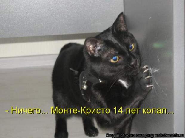 Котоматрицы (картинки с надписями)