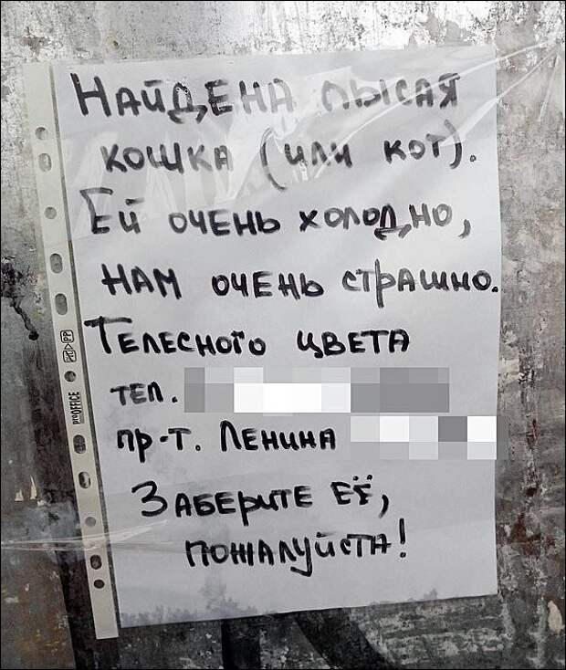 Смешные надписи и объявления надписи, объявления, смешные, юмор