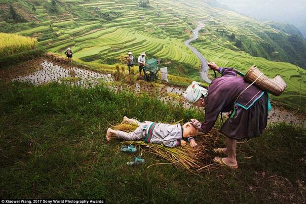 Китайская провинция Гуйчжоу. Родители этого мальчика убирают урожай в поле, а его 90-летняя бабушка остается с ним. На фото редкий момент проявления нежности в мире, дети, жизнь