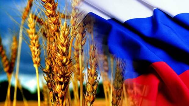 Россия обогнала США и вышла на первое место в мире по экспорту пшеницы