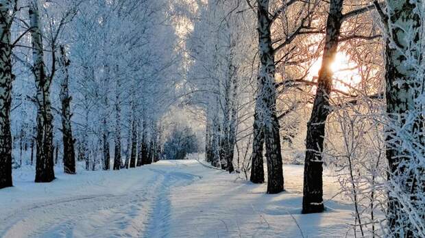 До -10 и небольшой снег. О погоде в Алтайском крае 1 января