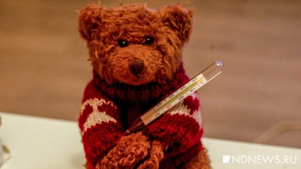 Когда свежий воздух лечит, а когда вредит: врач перечислил правила прогулки во время болезни