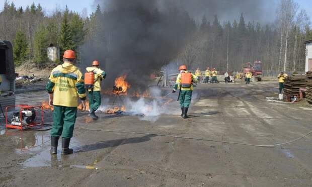 В Архангельской области объявлен лесопожарный сезон