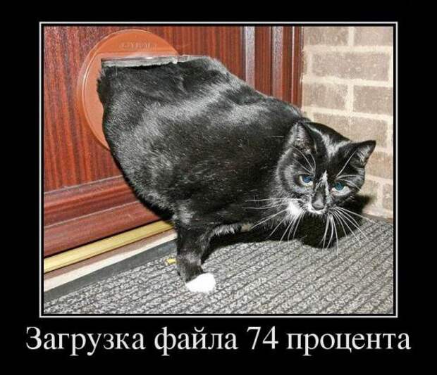 Подборка свежих демотиваторов