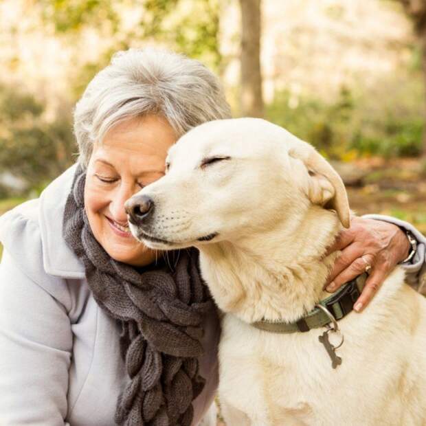 Популярные породы собак для пожилых людей