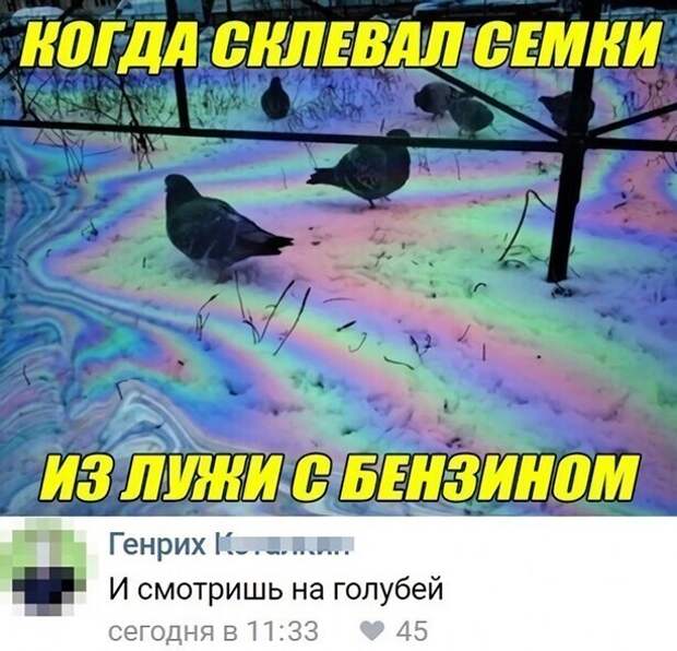 Подборка замечательных весёлых картинок