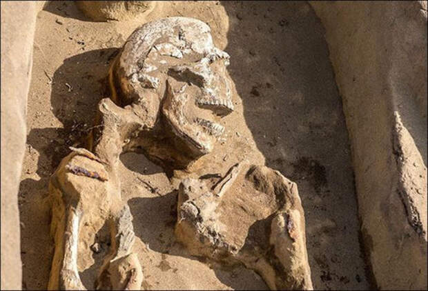 В России нашли необычный древний скелет