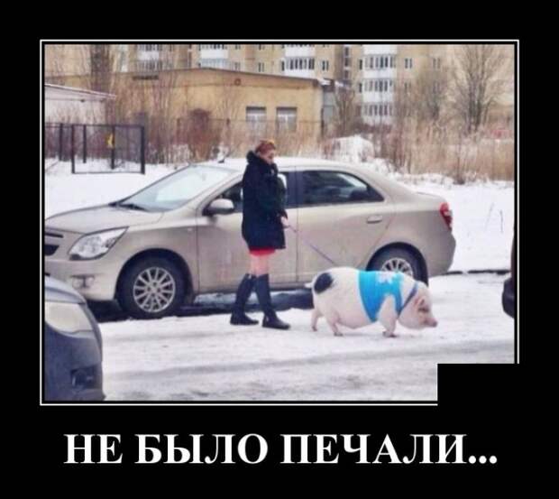 Демотиваторы (20 фото)