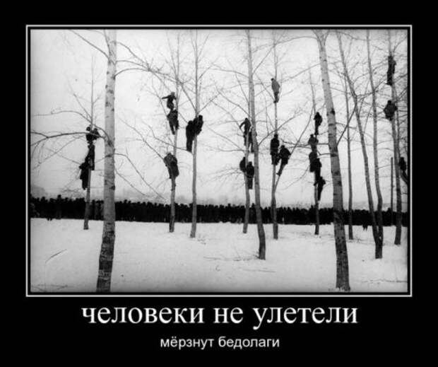 Прикольные демотиваторы для всех (14 шт)