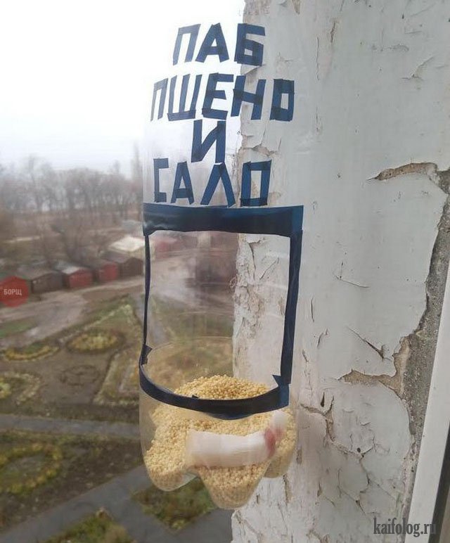 Прикольные приколы (50 фото) Прикольные приколы (50 фото)
