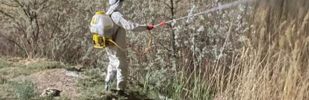 В Конаеве началась обработка от комаров и вредителей