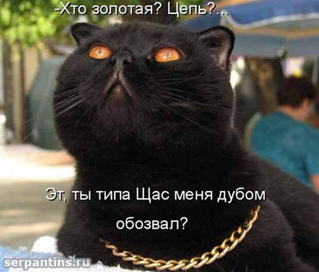 Кулинарный юмор