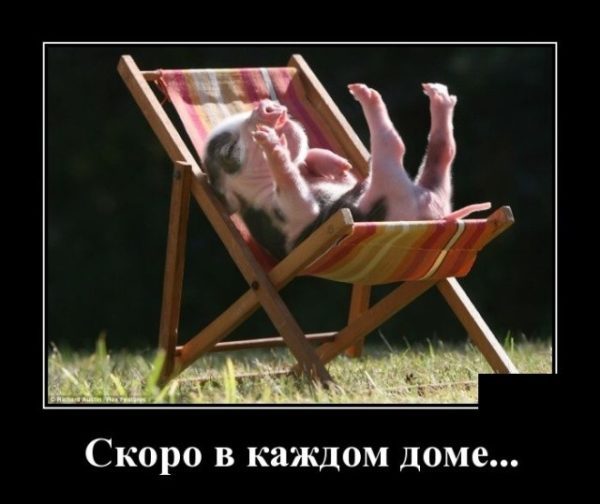 Демотиваторы, смотреть и поднимать настроение