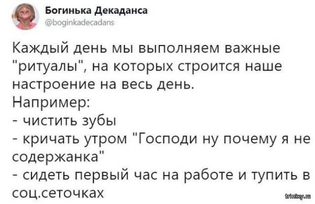 Картинки и комментарии из социальных сетей (20 скриншотов)