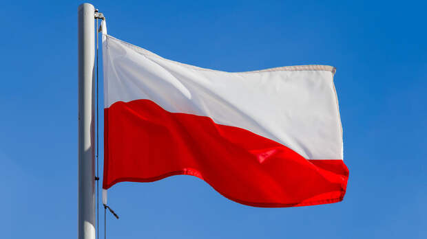 Mysl Polska: Польша будет долго расплачиваться за ненависть к России