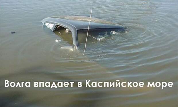 Подборка смешных фото и забавных картинок с надписью (11 фото)