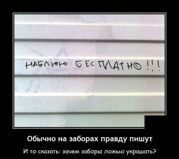 demotivatory-demotivator-smeshnye-demotivatory-demotivator-so-smyslom