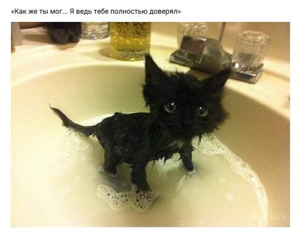 Нестандартный юмор :)