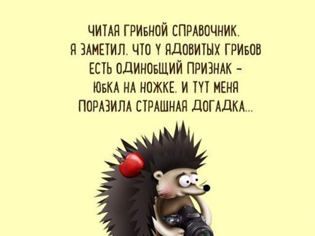 Так себе картинки