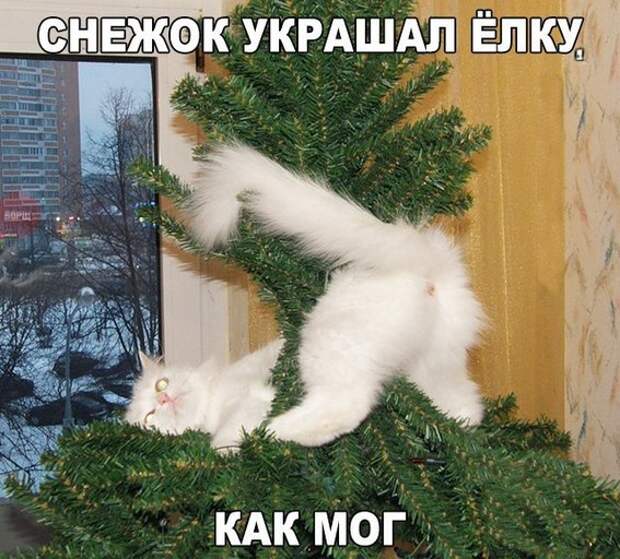 Снежок украшал елку как мог