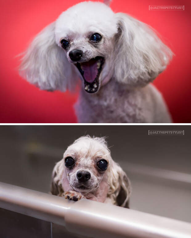 Before Vs. After Bath