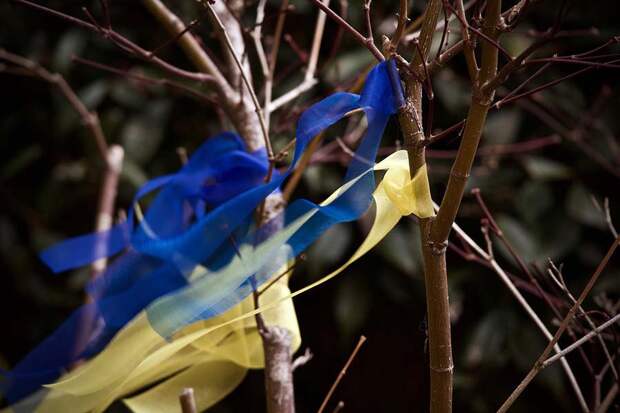 Почему Украина потеряла право на существование как государство