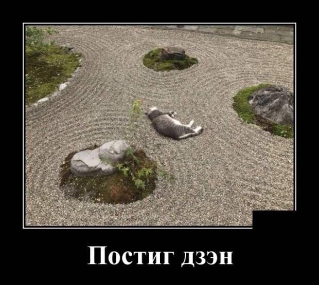 Демотиваторы (30 фото)