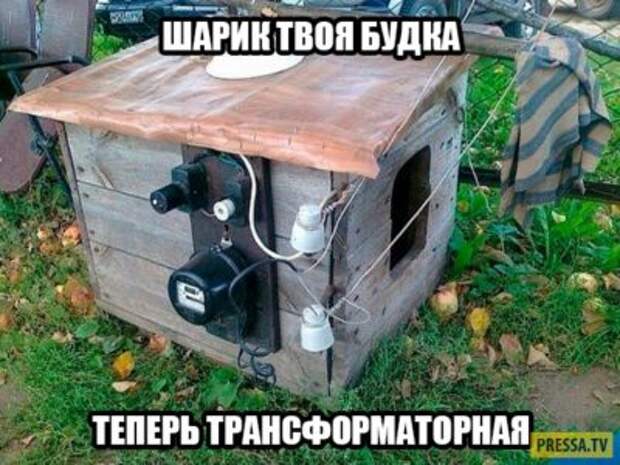 Юморные картинки