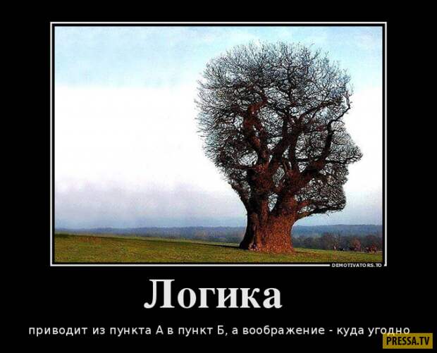 Демотиваторы (42 фото)