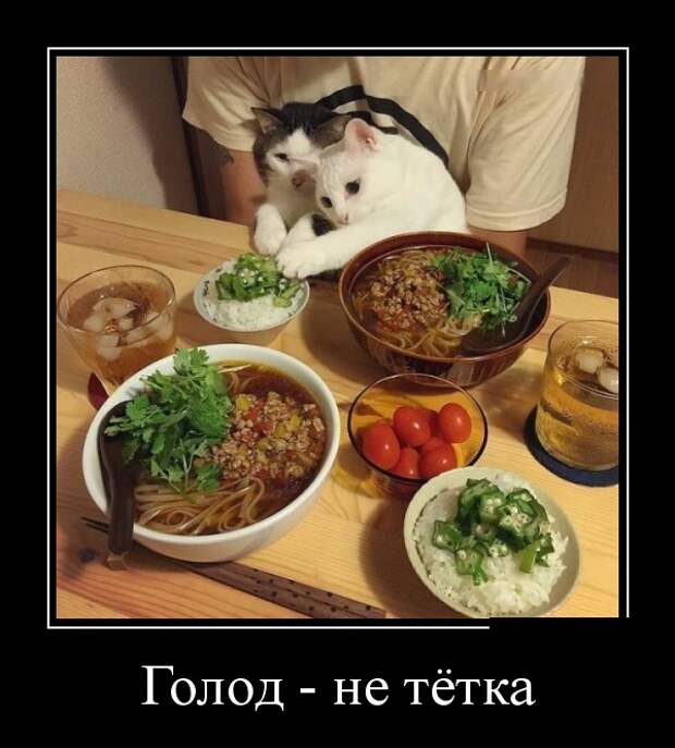www.vsyako.net