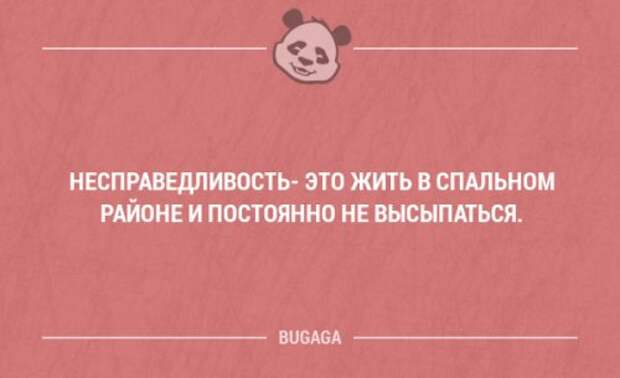 Смешные фразы и забавные мысли. Часть 47 (18 шт)