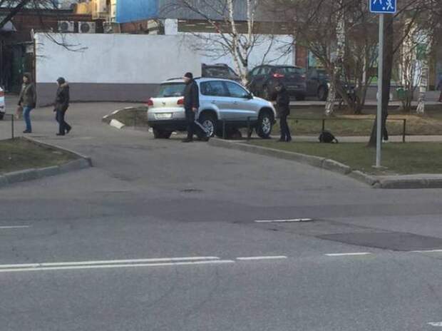 Свежие и прикольные картинки из нашей жизни (11 фото) Свежие и прикольные картинки из нашей жизни (11 фото)