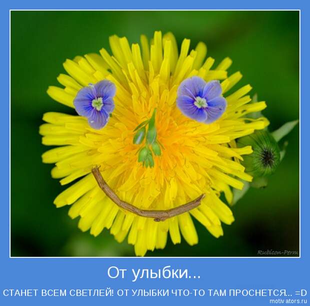 Позитивные мотиваторы с самого утра