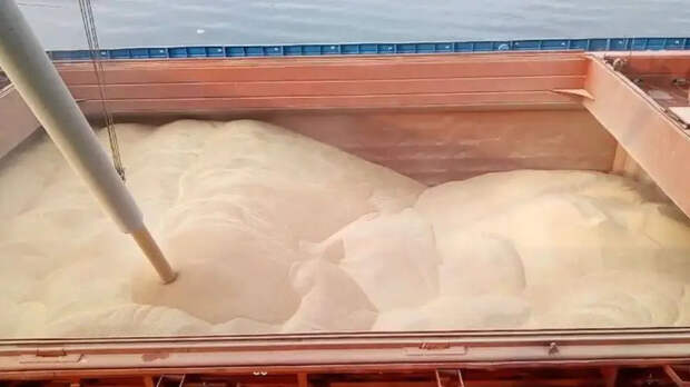 Удары ВС РФ по портовой инфраструктуре Украины пока не привели к критическому ущербу для экспорта зерновых