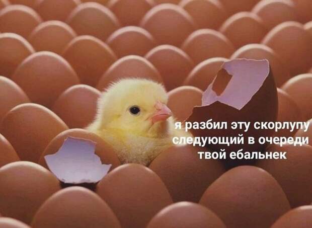 Нестандартный юмор :)