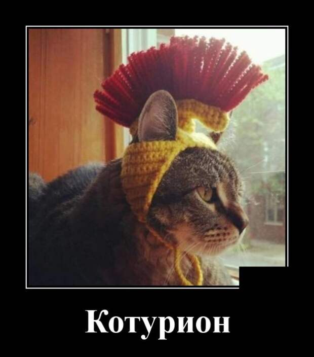 www.vsyako.net