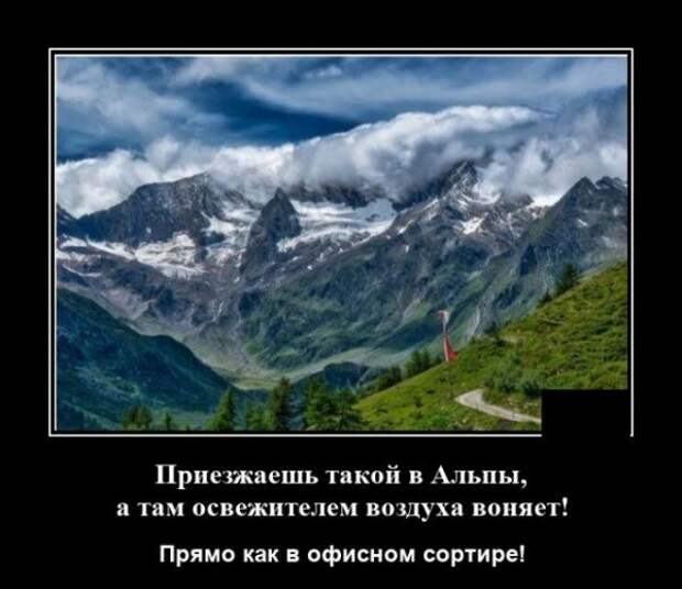 demotivatory-demotivator-smeshnye-demotivatory-demotivator-so-smyslom