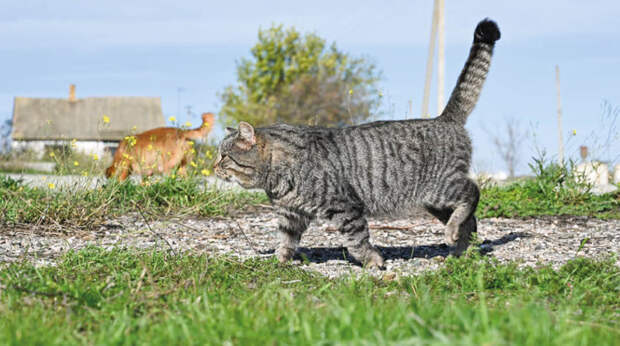 Погода 6 апреля: солнечно, днём до +18