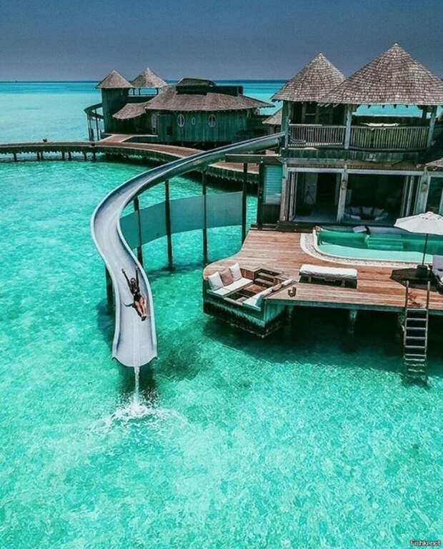 61f6aa0ddfd0d0d1390715a1163e6206 (564x700, 455Kb)