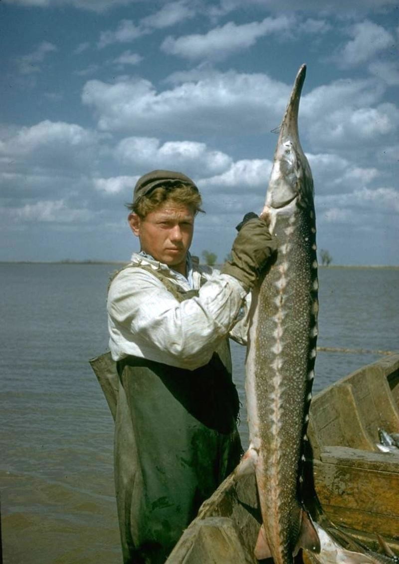 Черная икра в СССР