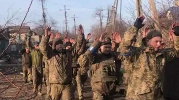 Военкор рассказал о причинах роста количества украинских пленных