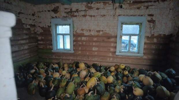 Это огромная, заброшенная деревня Мордовии. Здесь остались сотни брошенных домов и на десятки километров ни одной живой души. Люди покинули это место совсем недавно и масштаб просто потрясает.-39