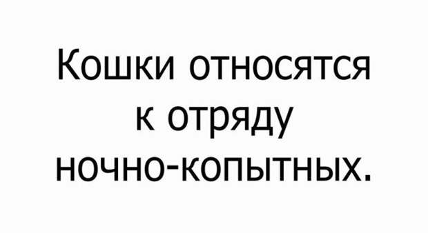 Веселые картинки с надписью со смыслом (11 фото) Веселые картинки с надписью со смыслом (11 фото)
