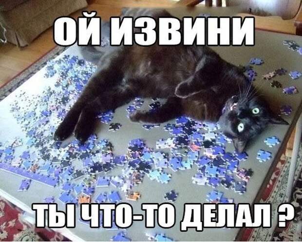 Прикольные картинки Прикольные картинки