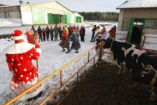 Корпоративы, корпоративы. Сельский Новый год – вот где сила народная! весело, деревня, интересно, новый год, село, юмор