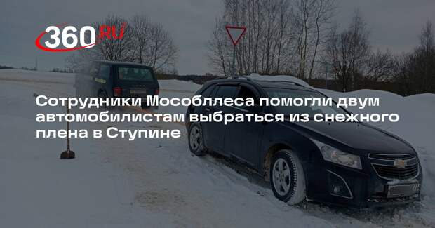 Сотрудники «Мособллеса» помогли двум автомобилистам в снежных заносах