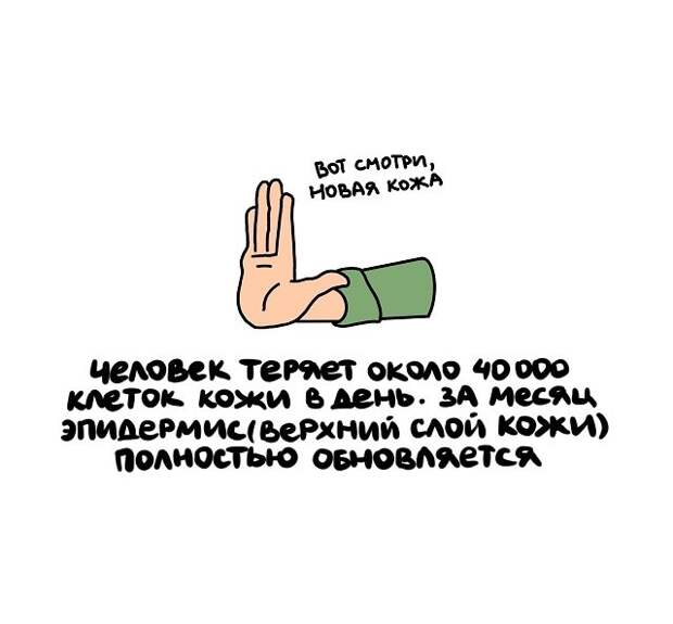 Интересные короткие факты на все случаи жизни