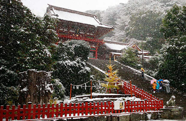 Tokyo First Snow In November 2016