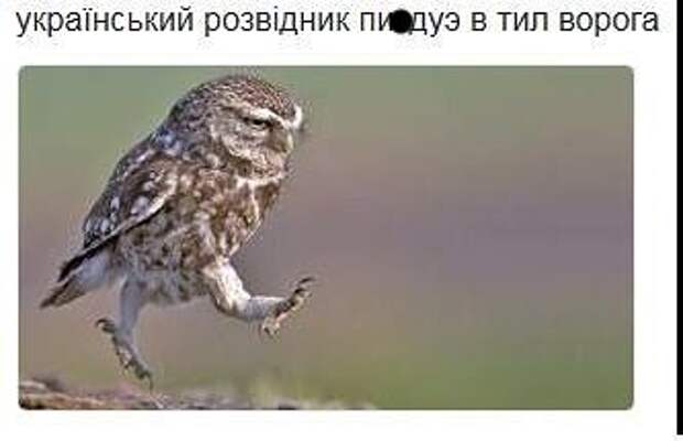post-3562-0-38092200-1477826966.jpg