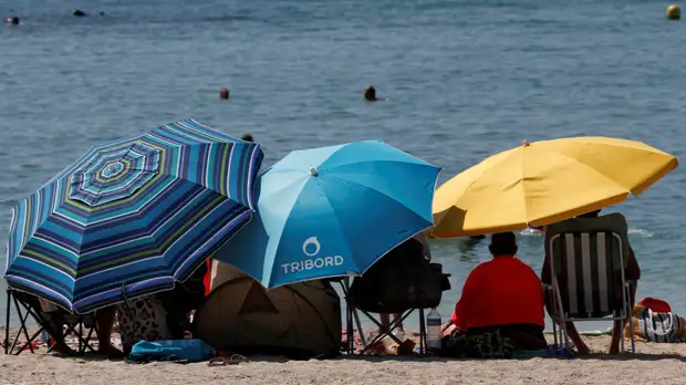 МЧС Ленобласти предупредило об аномальной жаре